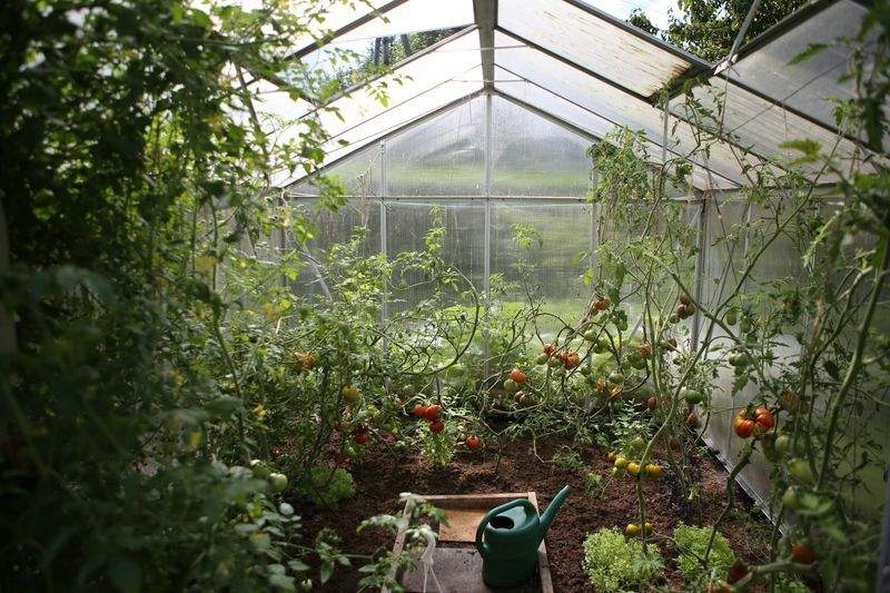VerdeViva Jardinería