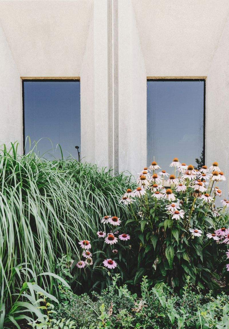 Cómo preparar tu jardín para la primavera