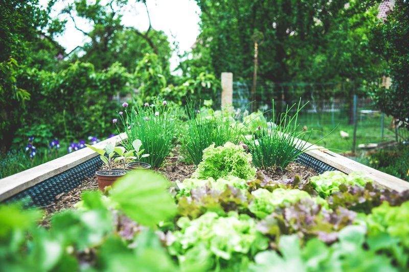 Flujo de renovación estacional del jardín