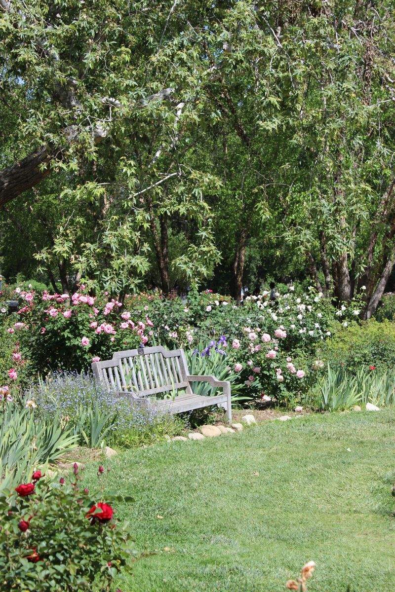 VerdeViva Jardinería 1